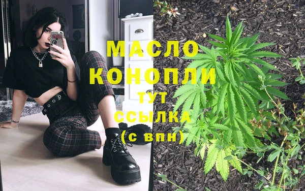 ешки Медногорск