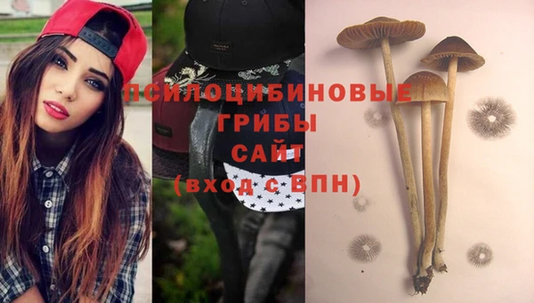 a pvp Медвежьегорск