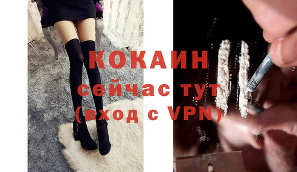 ешки Медногорск