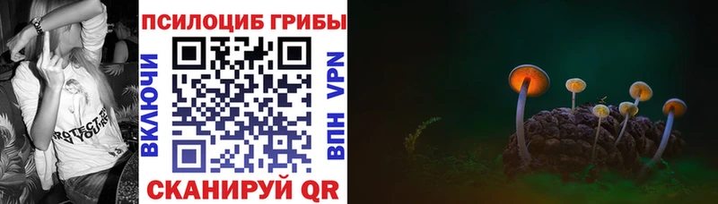 Купить закладки  Великий Новгород  Псилоцибиновые грибы ЛСД 