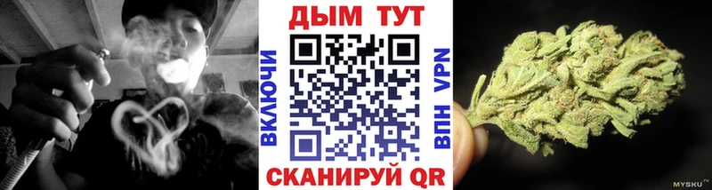 Купить где  Великий Новгород  Конопля Bruce Banner 